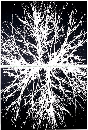 Downwards As Well, 1972